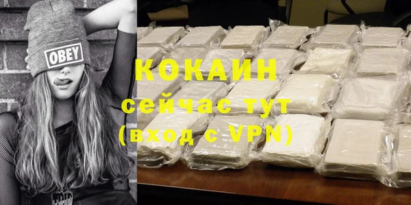 ешки Бикин