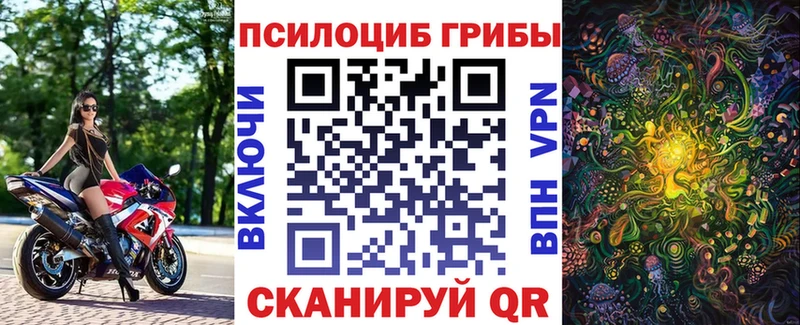 Псилоцибиновые грибы мицелий Камызяк