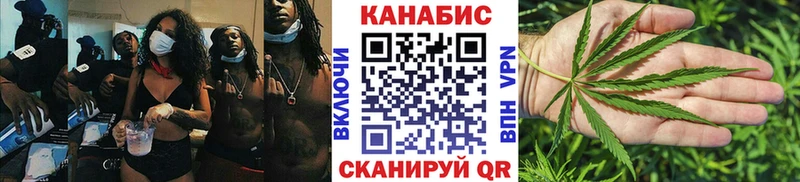 OMG зеркало  Камызяк  Марихуана индика 